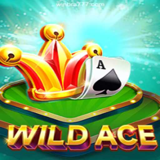 Discover the Thrills of WildAce on WINBRA.com: The Top Online Slots Platform in Brazil
